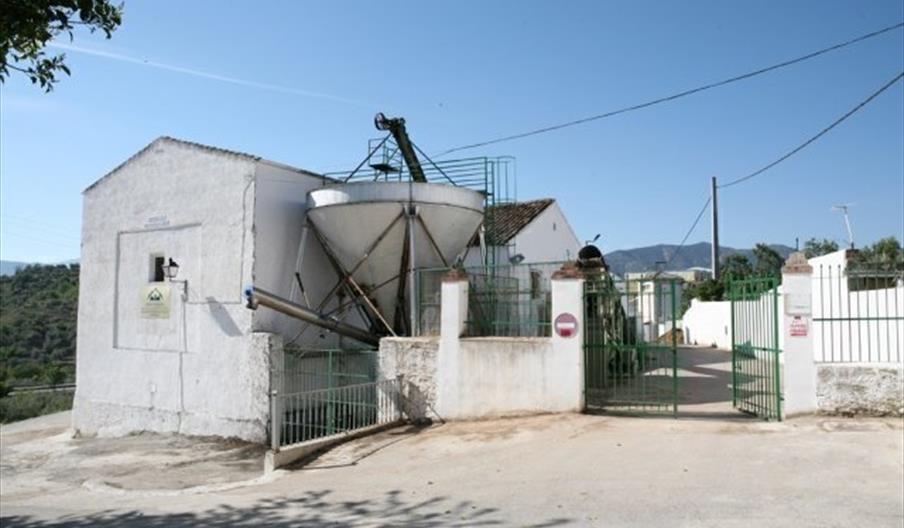 San Antonio Abad
