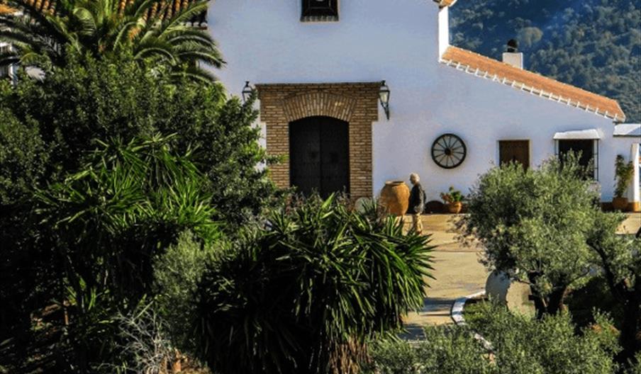 Oleoturismo Molino del Hortelano