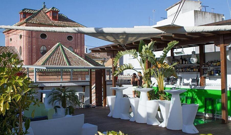 La Terraza Oasis