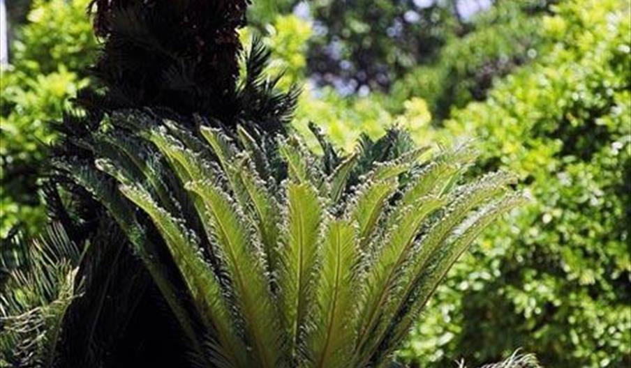 Jardín Botánico de Córdoba