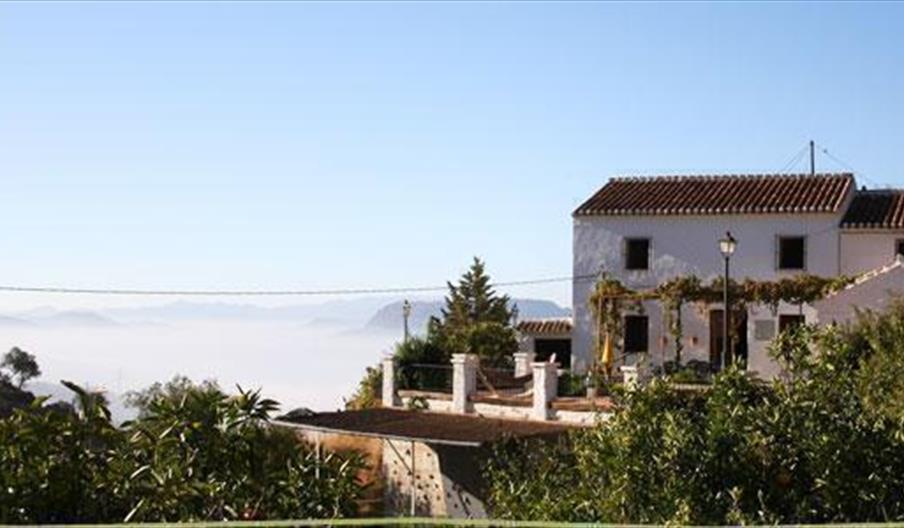 La Teja