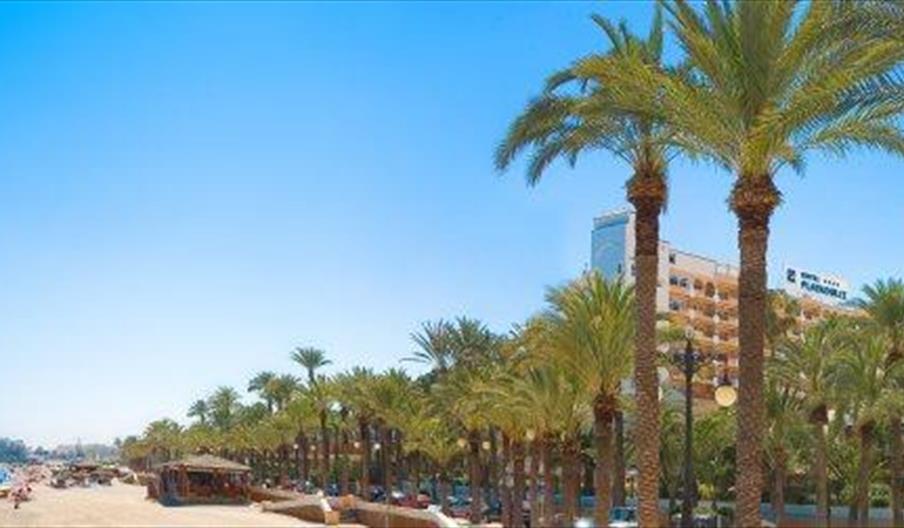 Playaluna