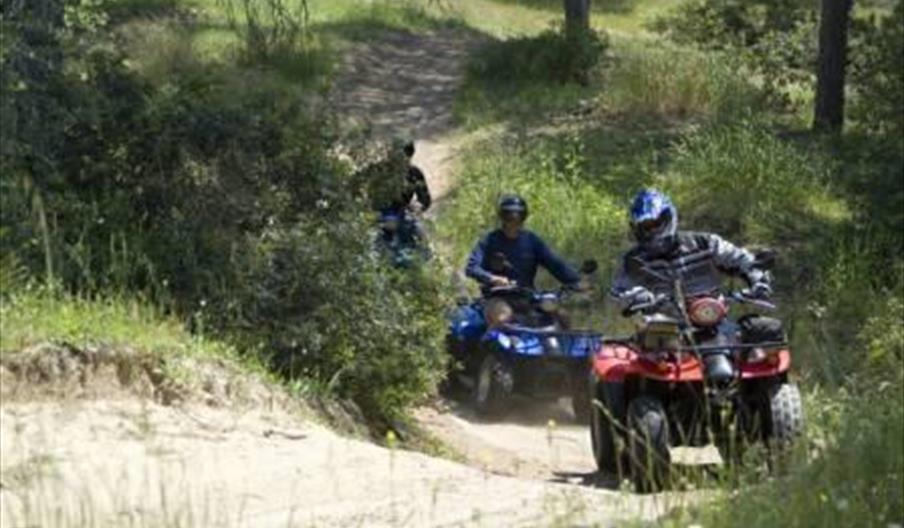 Quadymoto