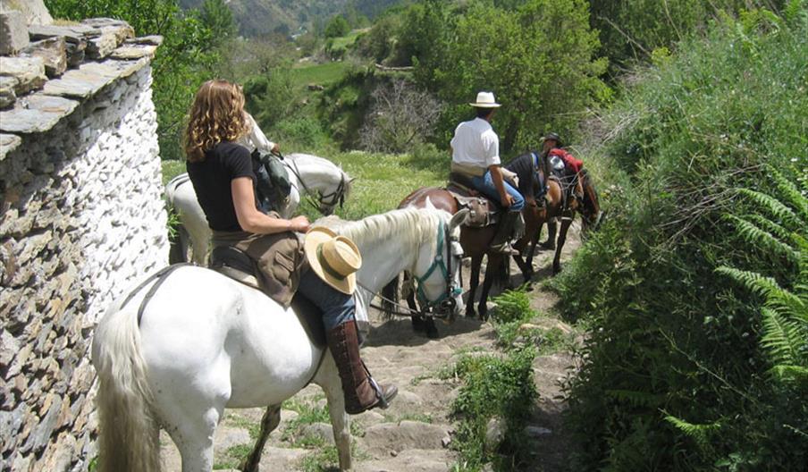 Caballo Park