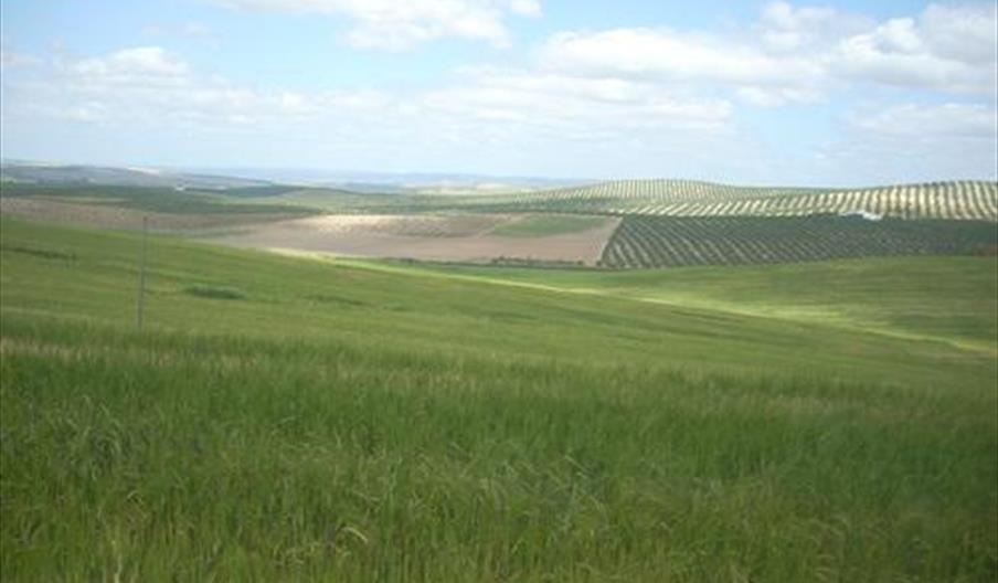 La Galga