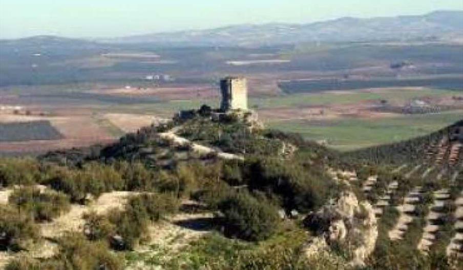 Castillo Anzur