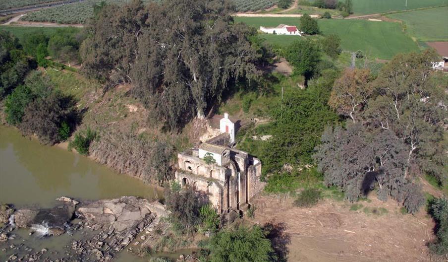Presas de El Carpio