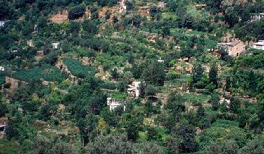 Lanjarón