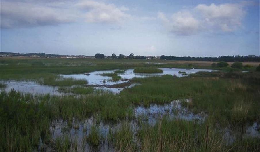 Laguna de la Paja