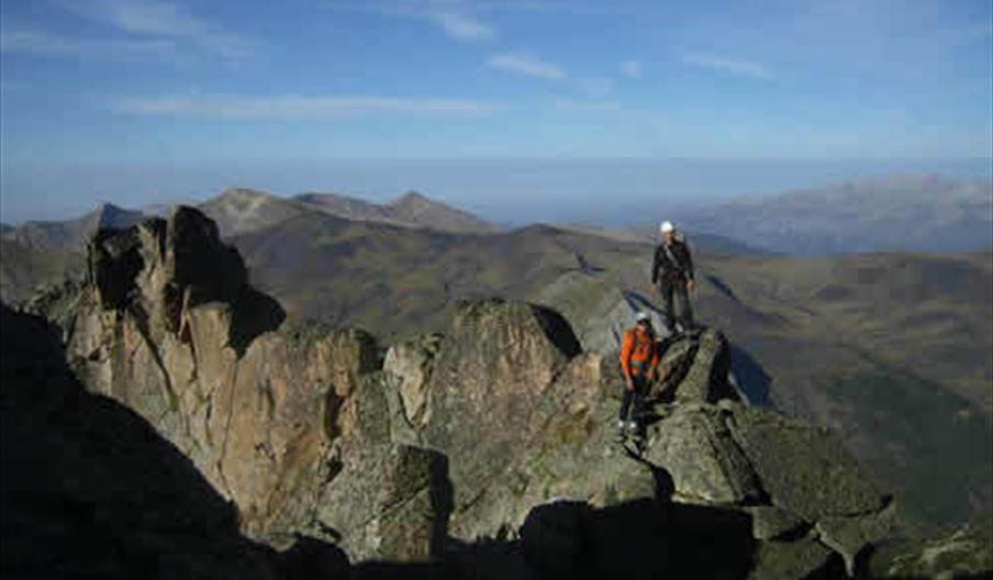 Trepamundo