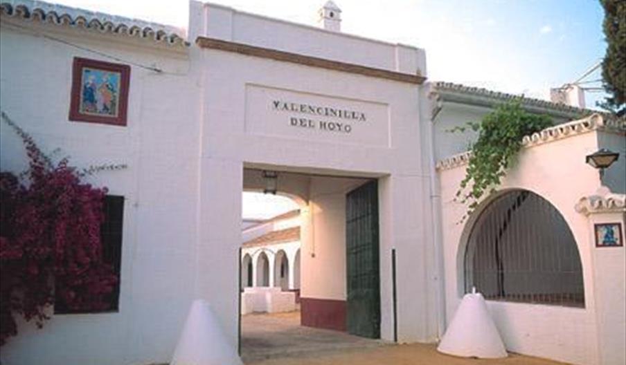Bormujos