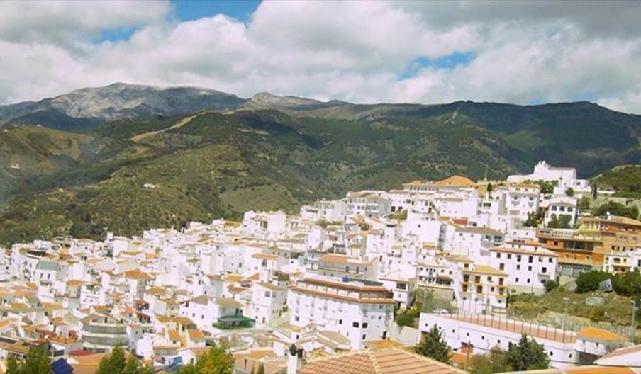 Canillas de Albaida