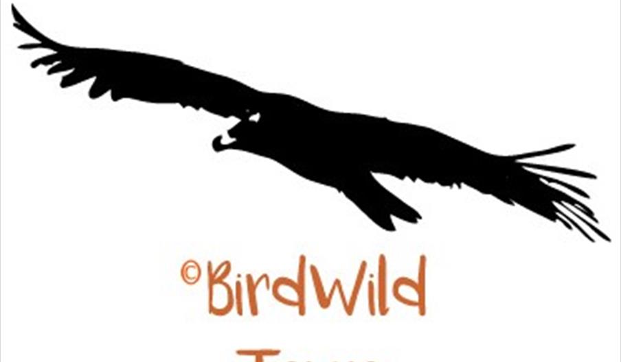 BirdWild Tours