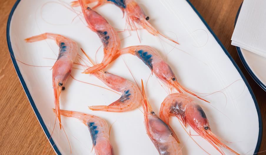 Plato de quisquillas de Motril acompañado de una botella de vino en Bar FM en Granada, marisco fresco de la lonja de Motril.