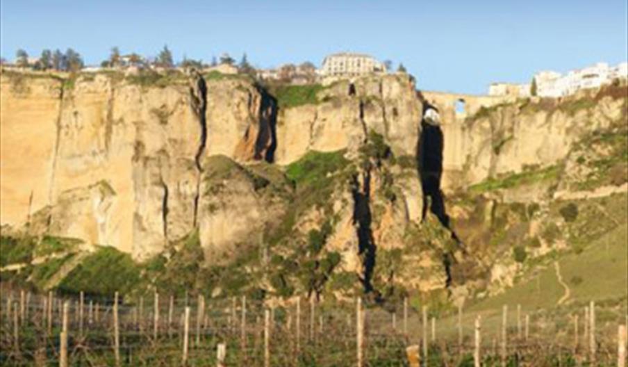 Bodega Samsara Wines Ronda