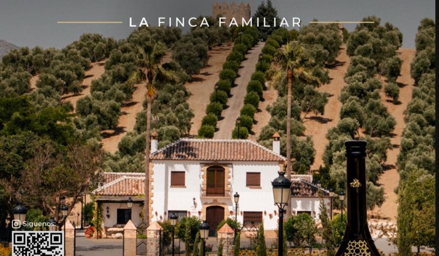 Oro Al Andalus, Ronda