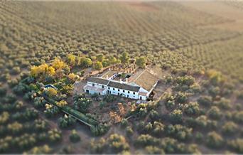 Fotos Hacienda Molino Blanco