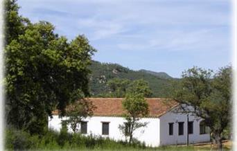 Casa del Olivo