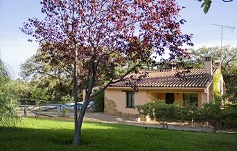 Vivienda Rural Encina de Alájar