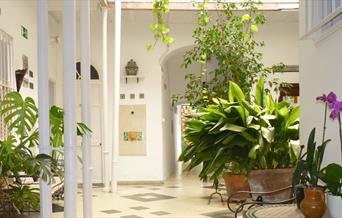 Apartamentos Casa Rosaleda