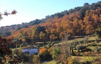 Vivienda Rural La Huerta de Arriba