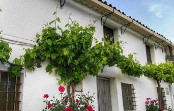 Cortijo Nuevo