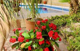 Hostal Nerja
