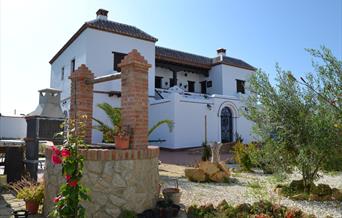 La Cartuja