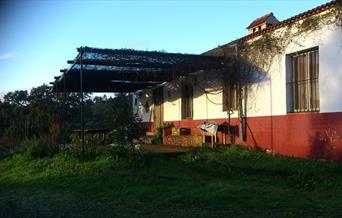 Vivienda Rural Alamillo