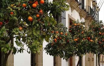 Hotel Tryp Jerez