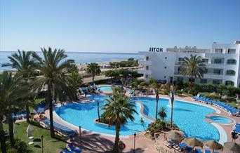 Best Oasis Tropical