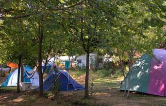 Camping Balcón de Pitres