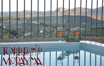 Torreón de Morayma-Vistas