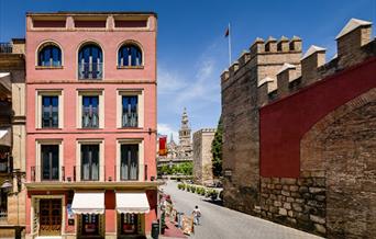 Apartamentos Suites Murillo