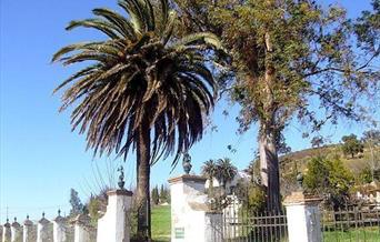 Berrocal
