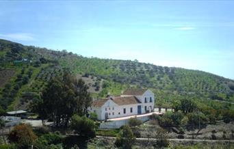 Pensión Cortijo Loyola