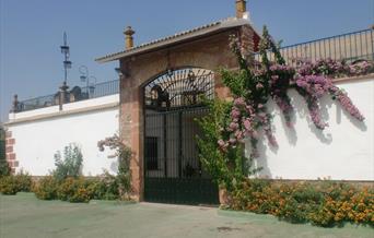 Hostal Molina Plaza