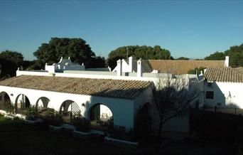 Vivienda Rural Cortijo El Indiviso
