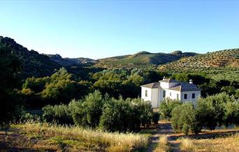 Casa Olea casa rural de lujo