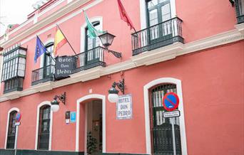 Hotel Casa Palacio Don Pedro