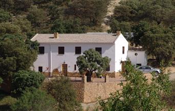 Cortijo Tía Amalia