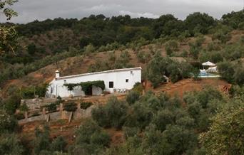 Maripasa