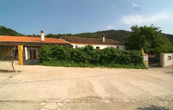 La Bodega II