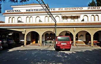 El Quinto Pino