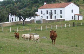 Fuentibáñez