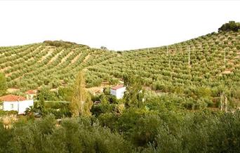 Vivienda Rural La Capellanía