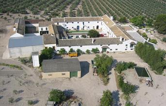 Casa Rural Hacienda Rural Capricho Andaluz