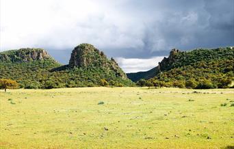 FINCA
