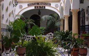 Maestre