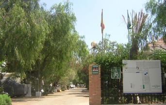 Camping Huerta Romero